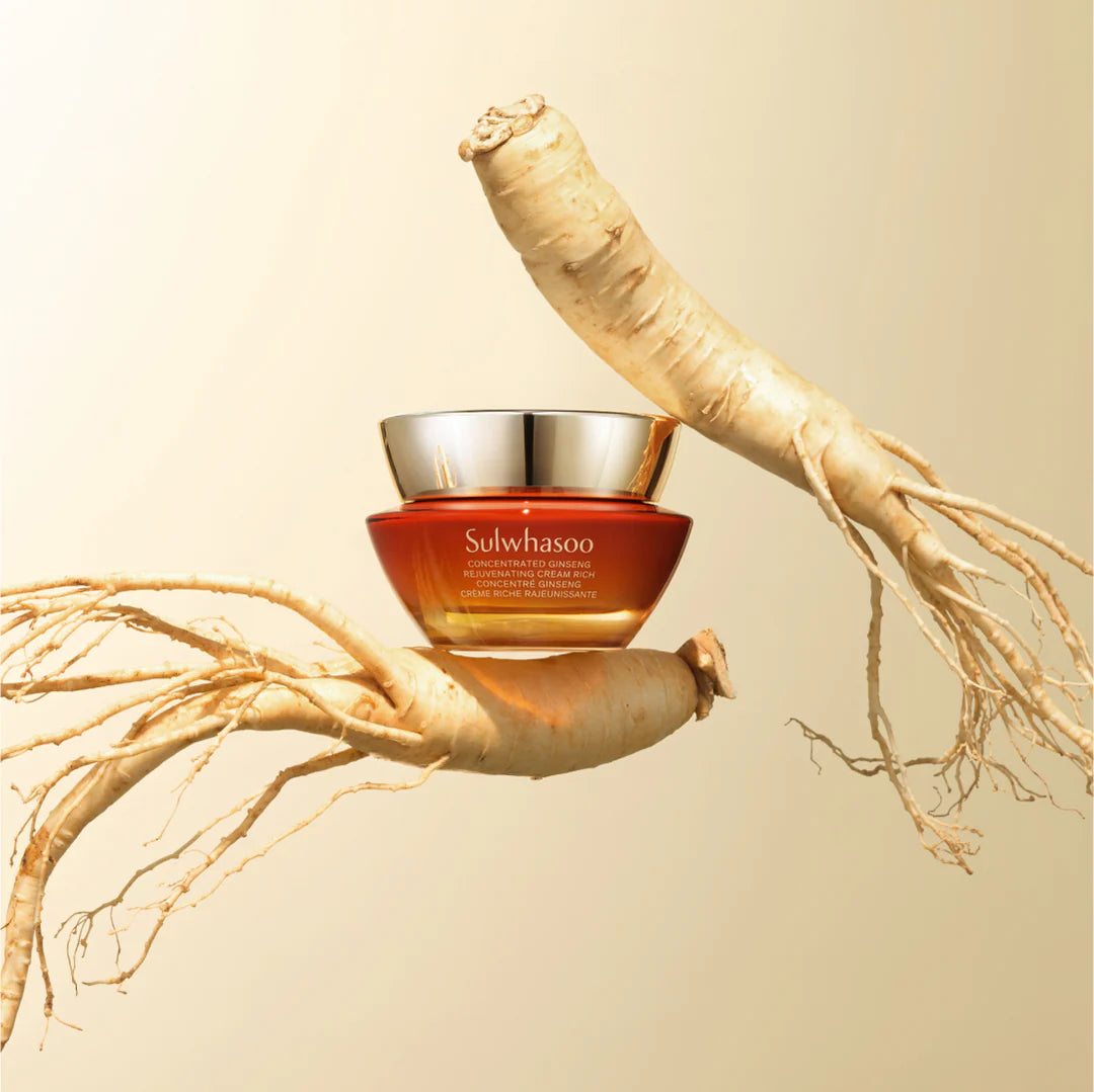 Sulwhasoo Concentrated Ginseng Rejuvenating Cream Rich (50mL)